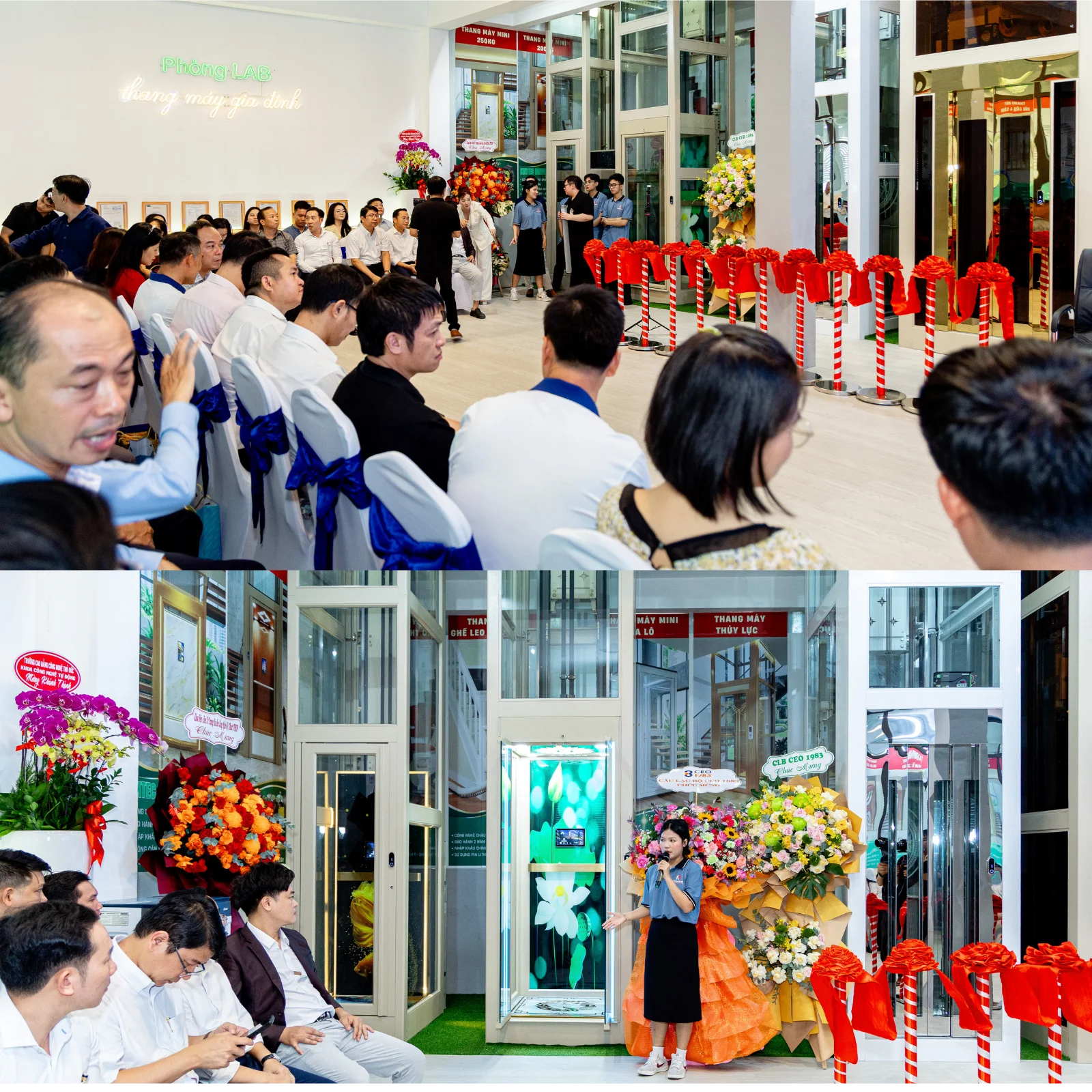 Thang Máy Tại Showroom 